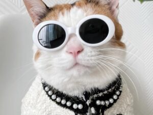 Lunettes de Lune