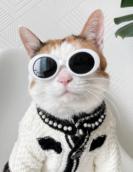 Lunettes de Lune