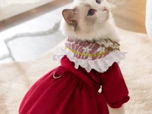 Robe Sissi