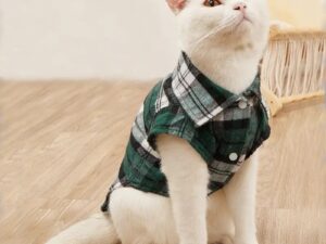 Chemise Verticale